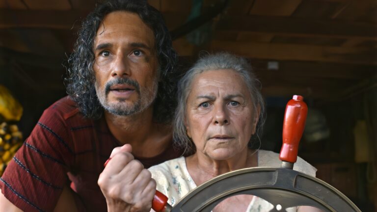 Público de filmes brasileiros no cinema cresce e chega a 11,2% em 2025