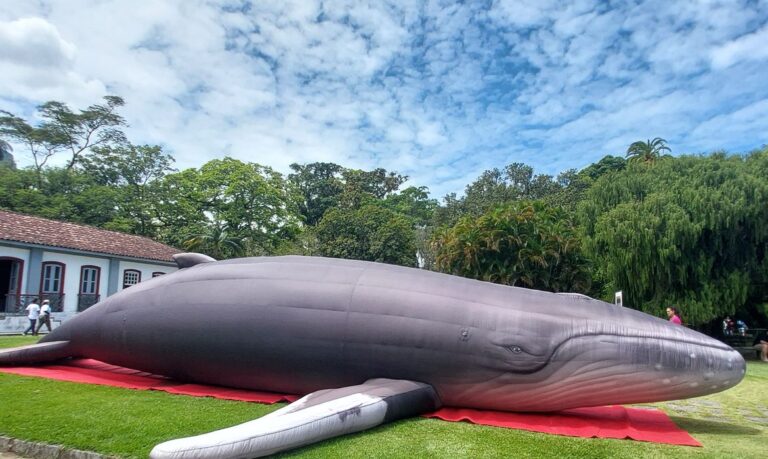 Jardim Botânico do Rio expõe réplica de jubarte por conscientização