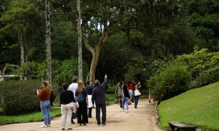 Dia da Consciência Negra: Jardim Botânico do Rio tem programa especial